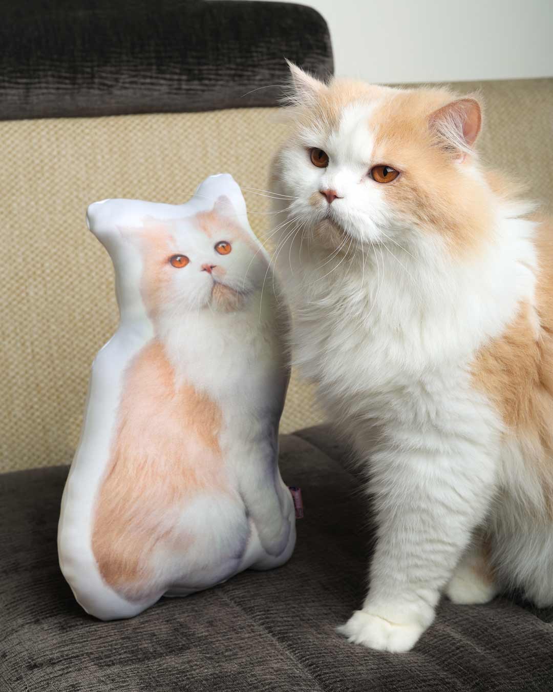 Custom Pet Pillow - Be My Pillow