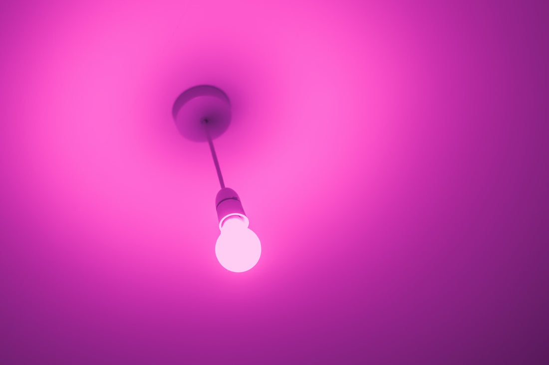 ultra violet led bulb